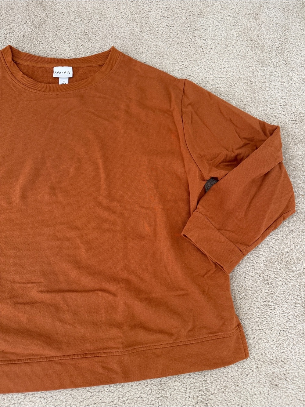 Ava & Viv Men's Crewneck Sweatshirt in Rust